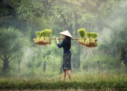 Cultivating Intimacy: A Guide to Prioritizing Pleasure in Your Partnership