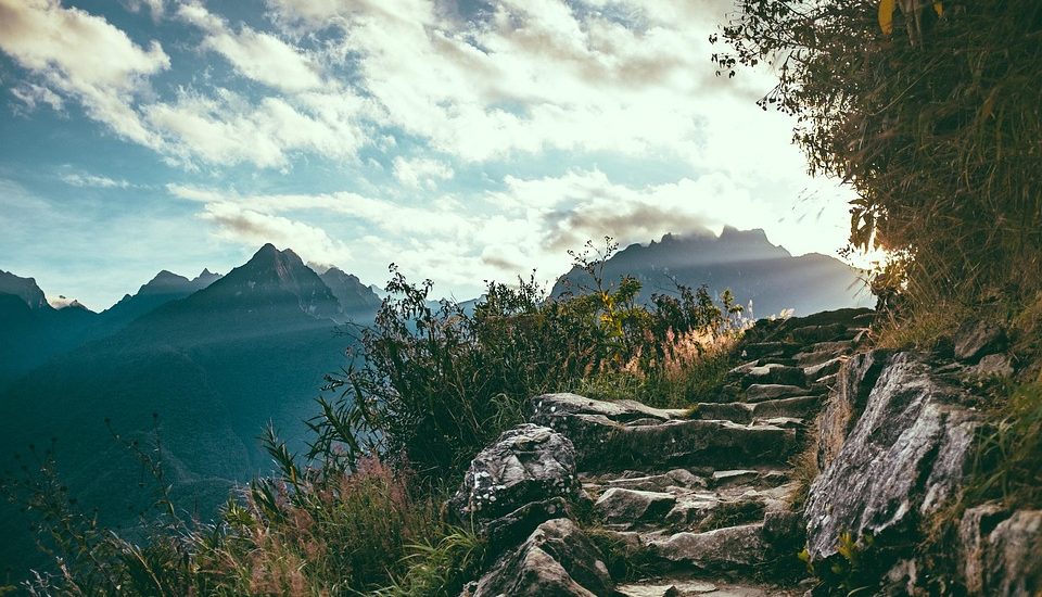 Elevating Intimacy: The Role of Mindfulness in Enhancing Sexual Experience