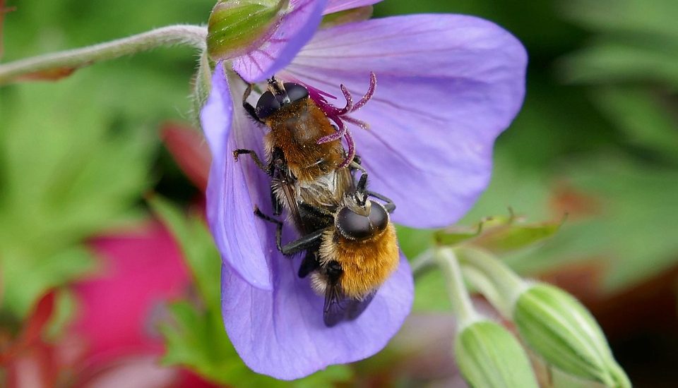 Sexual Exploration Starts Here: Best Beginner-Friendly Toys